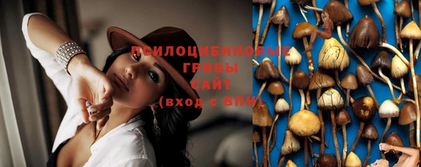 гашик Белоозёрский