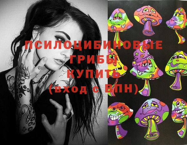 a pvp Белокуриха