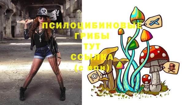 a pvp Белокуриха