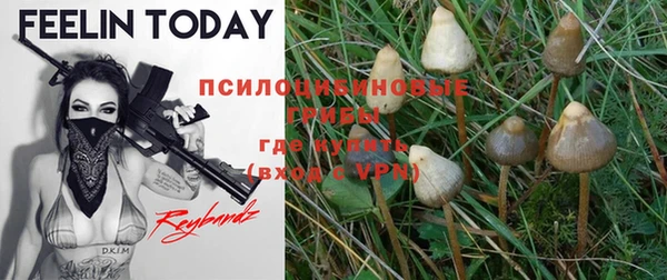 a pvp Белокуриха