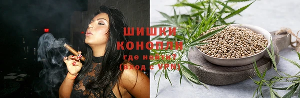 гашик Белоозёрский