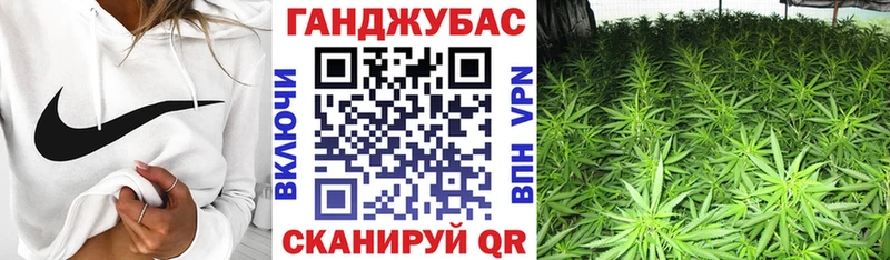 Каннабис план  Короча 